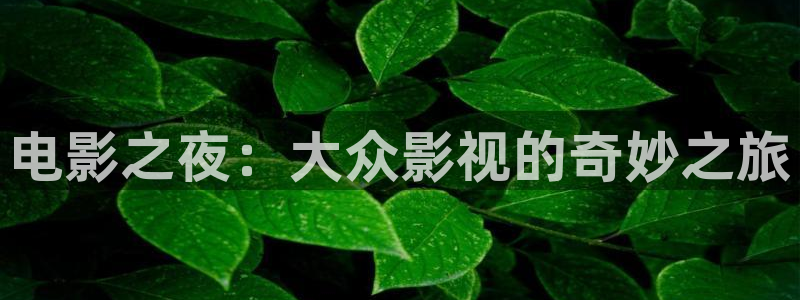 我们的少年时代星辰影院